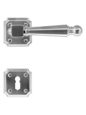 DOOR HANDLE PRO RUBENS STAINLESS STEEL LOOK R+E