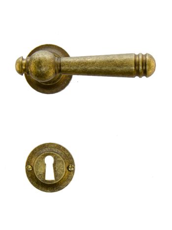 DOOR HANDLE PRO ANNA-LUCIA OLD YELLOW R+E