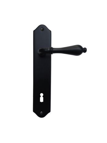 DOOR HANDLE PRO LISA BLACK PLATE+KEY 110MM